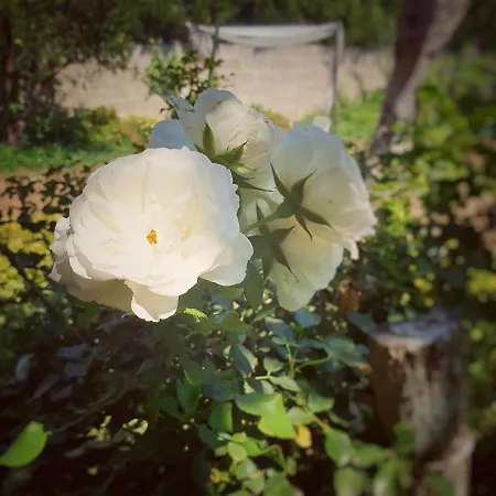 Il Giardino Ritrovato Frühstückspension Monteroni di Lecce