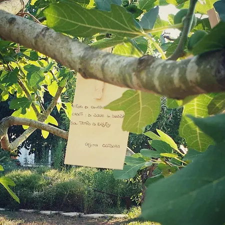 Il Giardino Ritrovato * Monteroni di Lecce