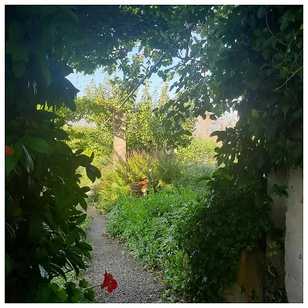 Il Giardino Ritrovato