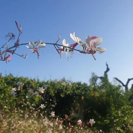 Il Giardino Ritrovato * Monteroni di Lecce