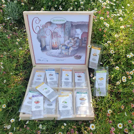 Il Giardino Ritrovato