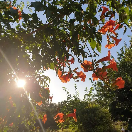 Frühstückspension Il Giardino Ritrovato
